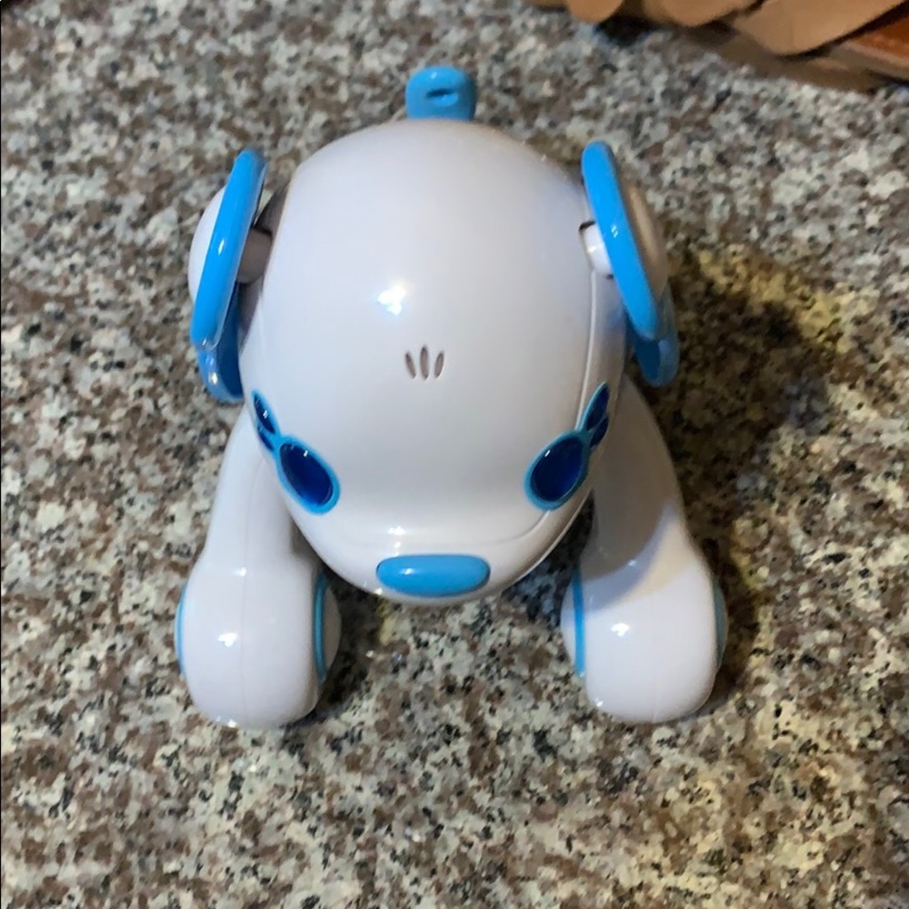 robot dog